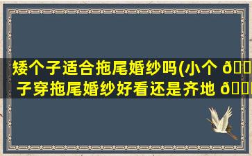 矮个子适合拖尾婚纱吗(小个 🐴 子穿拖尾婚纱好看还是齐地 🐞 的好看)